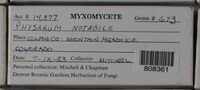 Image Associated With the Occurence